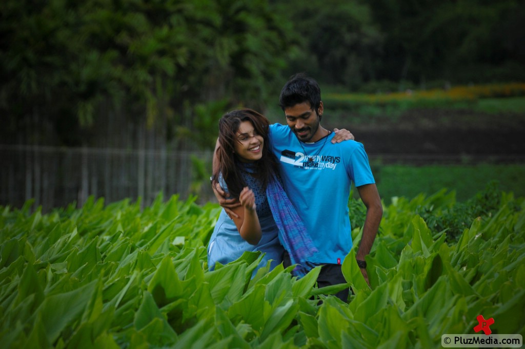 Dhanush's Maykkam Enna Movie Pictures | Picture 74166